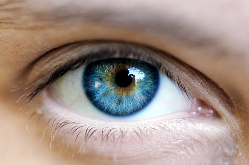 Close-up of a blue eye with eyelashes.