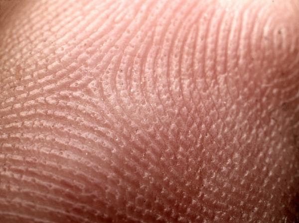 Close-up of a fingerprint pattern.